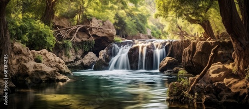 In the picturesque landscape of a park  surrounded by the natural beauty of waterfalls and rocks  one can feel the textured background of the environment as they enjoy a summer vacation  immersing