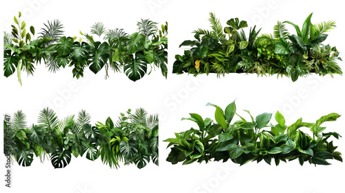 Collection of PNG. Green leaves of tropical plants bush floral isolated on a transparent background. photo
