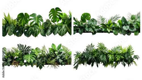Collection of PNG. Green leaves of tropical plants bush floral isolated on a transparent background. photo