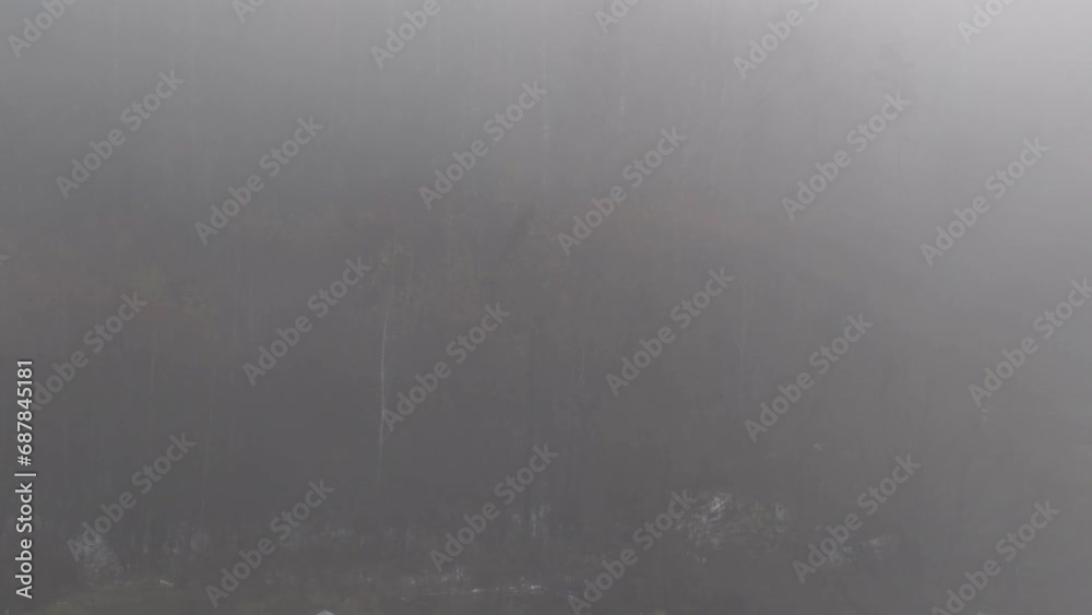 Autumn park covered with strong white fog.