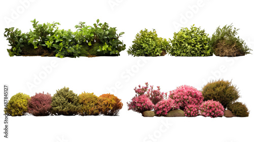 Collection of PNG. Shrubs isolated on a transparent background.