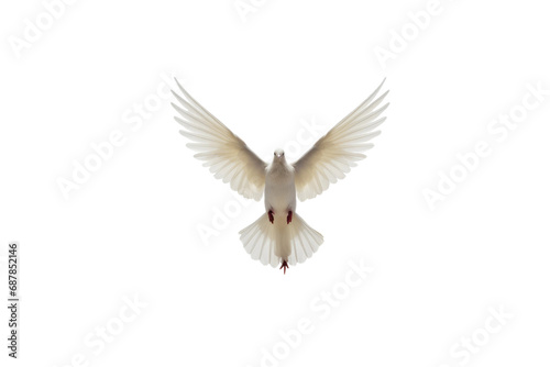 Animal Butterfly Flight Doves Aerial Serenity on a White or Clear Surface PNG Transparent Background