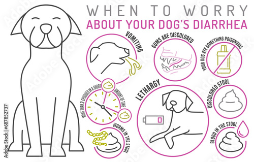 When to worry about the diarrhea in dogs.