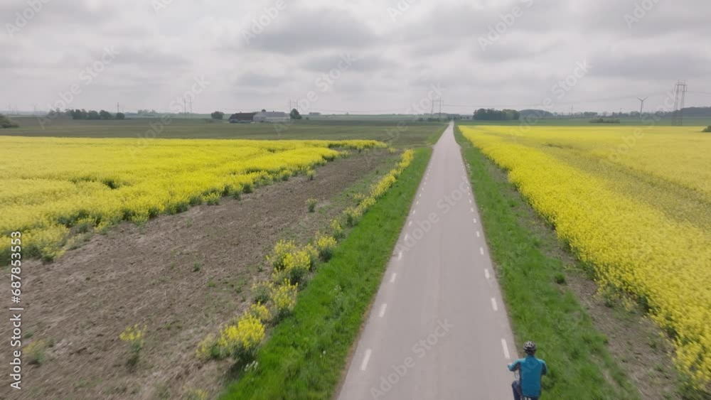 Drone flyover above man biking in countryside past vibrant yellow fields Drone flyover above man biking in countryside past vibrant yellow fields