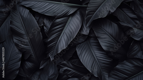 Dark leaves background © Davy