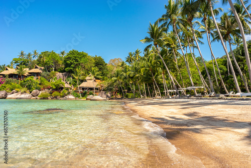 Fototapeta Naklejka Na Ścianę i Meble -  Empty calm sunny sandy tropical Sairee beach on exotic Koh Tao island in Thailand. Picturesque peaceful shoreline with palms and blue sky