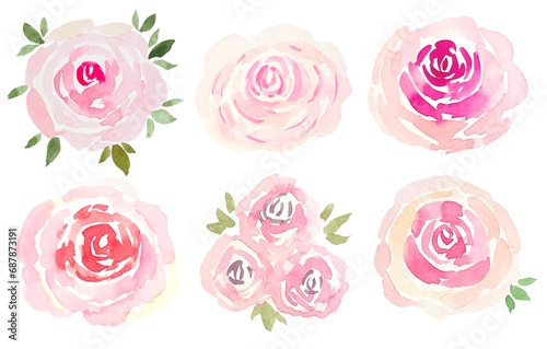 Delicate pink roses  watercolor illustration