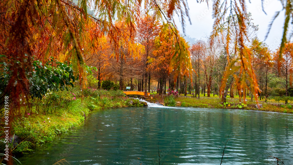 Obraz premium In winter, forests, falling feathers pine, leaves, turning red