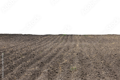 Pattern of rows in a plowed field on an isolated white background. Transparent background. PNG. photo