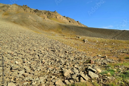rocky hillside in an arctic meadow  on a sunny summer day  while hiking in  longyearbyen,  spitsbergen, svalbvard, norway
