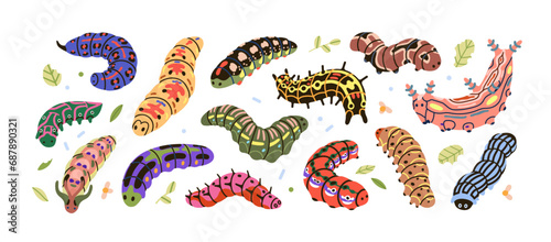 Cute caterpillars set. Funny larval insects, butterfly larva, worm, long cent...
