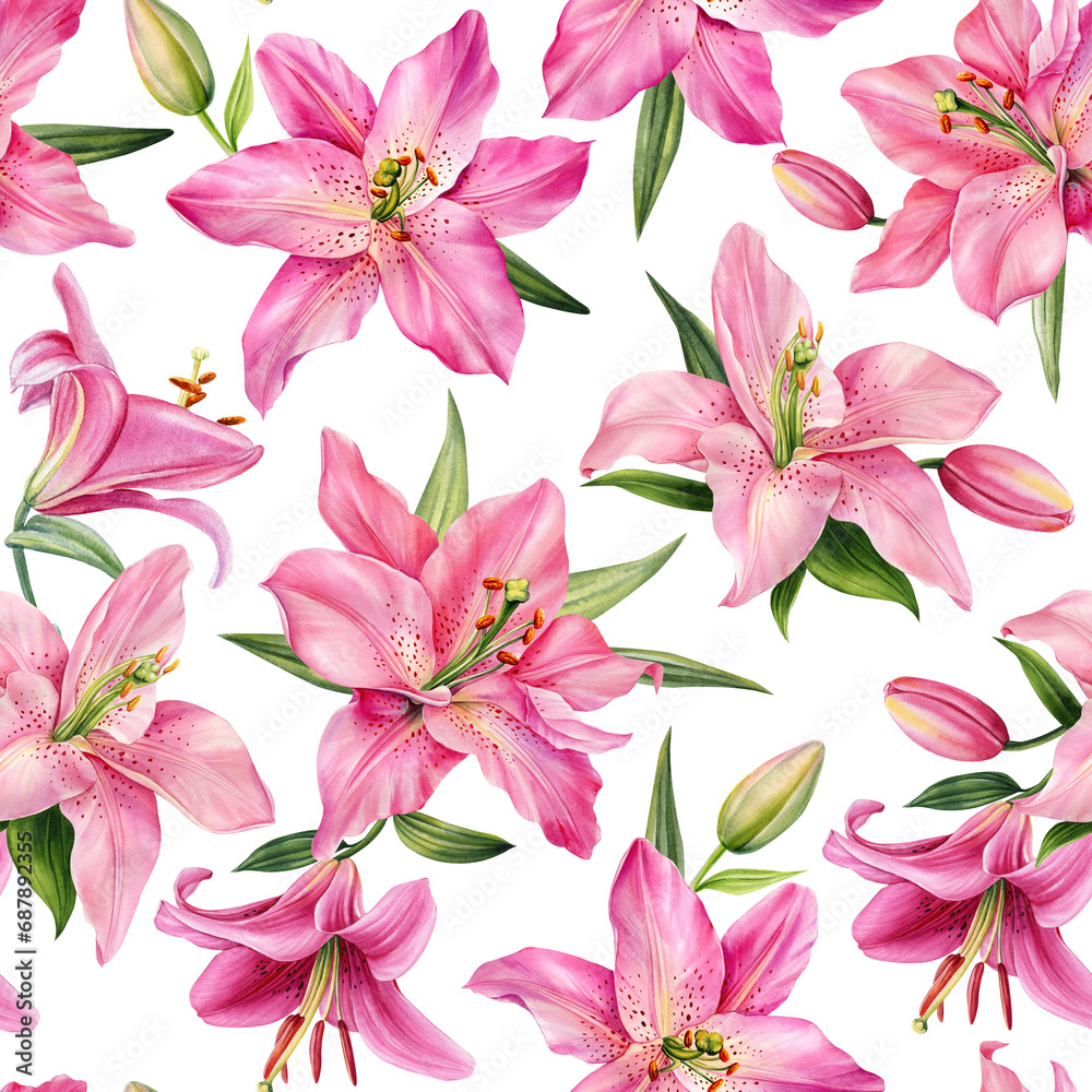 Seamless pattern lilies pink flower on isolated background, Hand drawn Lily flora. Flowers watercolor illustration