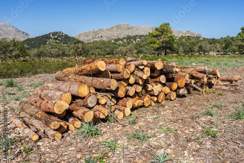 logs stacked for firewood, houses of Binifaldó, Escorca, Natural Site of the Serra de Tramuntana, Majorca, Balearic Islands, Spain