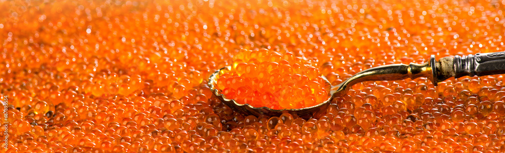 Red Caviar in a spoon. Caviar background. Fish roe, Close-up salmon or trout caviar. Delicatessen. Gourmet food. Texture of caviar. Seafood. Red Caviar in a spoon. Caviar background. Fish roe, Close-up salmon or trout caviar. Delicatessen. Gourmet food. Texture of caviar. Seafood.