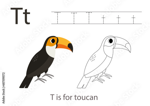 Tracing alphabet letters with cute animals. Color cute toucan. Trace letter T.