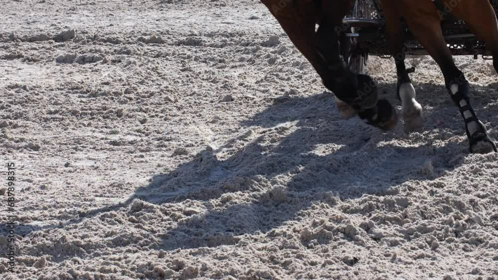 Horse Chariot Racing On The Sandy Beach In Summer. - crop, closeup shot