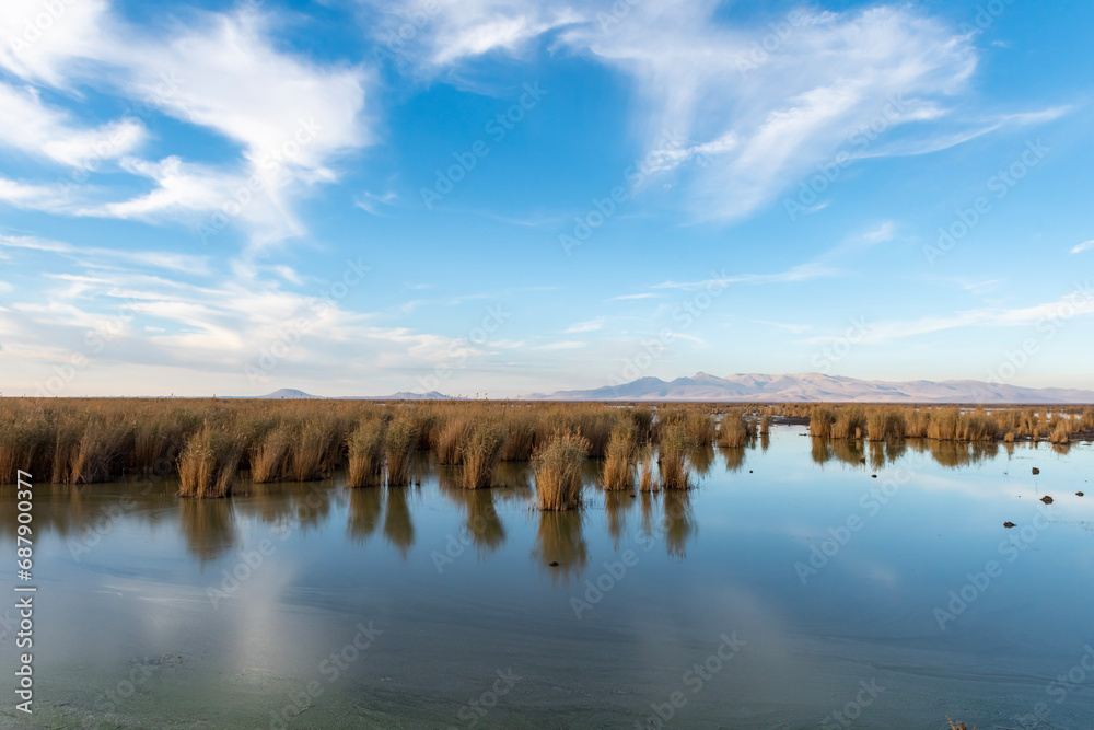 Konya Ak Lake, declared a national park in Turkey, is worth visiting with its hundreds of bird species and magnificent views. Konya Ak Lake, declared a national park in Turkey, is worth visiting with its hundreds of bird species and magnificent views.