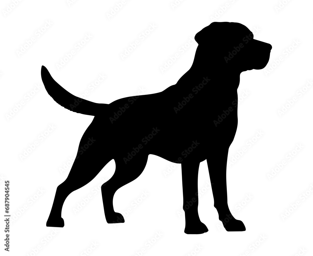 Labrador retriever Dog silhouette. Vector illustration