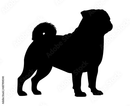 Pug Dog silhouette. Vector illustration