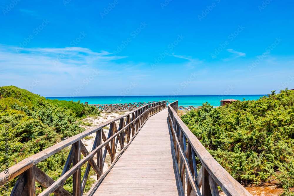 wooden bridge on the beach