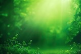 Free photo abstract blurred, green  background with plants  
