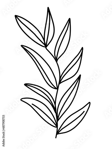 Plants outline illustration vector image. Hand drawn plants sketch image artwork. Simple original logo icon from pen drawing sketch of botanical plants of different kind. © Bagas