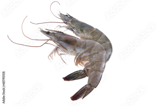 Fresh shrimp isolated on white background.