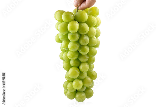 Grapes isolated. Bunch of ripe green grapes in water drops.