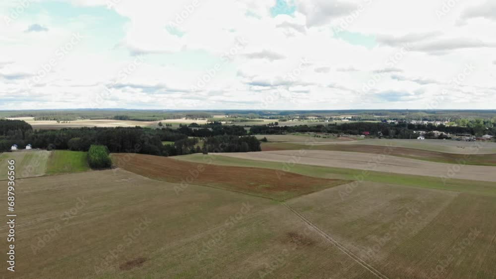 Buckwheat field seen from high-altitude drone flying backwards above the crop fields. Shot in Borowy Młyn in Kaszuby, Pomeranian Voivodeship, Poland Buckwheat field seen from high-altitude drone flying backwards above the crop fields. Shot in Borowy Młyn in Kaszuby, Pomeranian Voivodeship, Poland