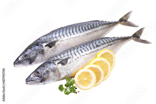 Fish mackerel isolated