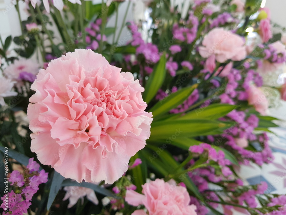 Obraz premium pink hydrangea flower