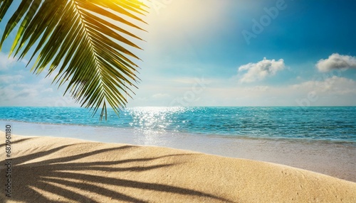 abstract beach background sunny sand and shiny sea at shadows of palm tree