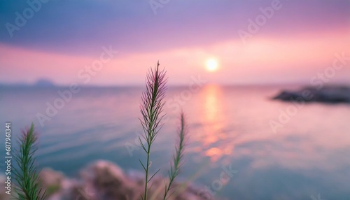 little grass stem close up with sunset over calm sea sun going down over horizon pink and purple pastel watercolor soft tones beautiful nature background