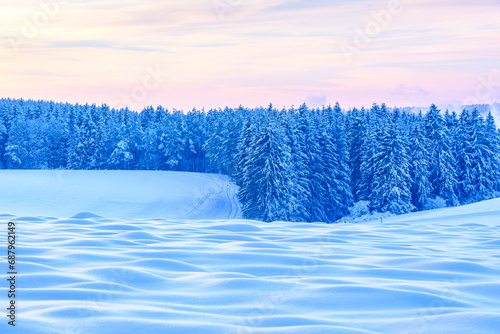Snowy Winter Landscape photo