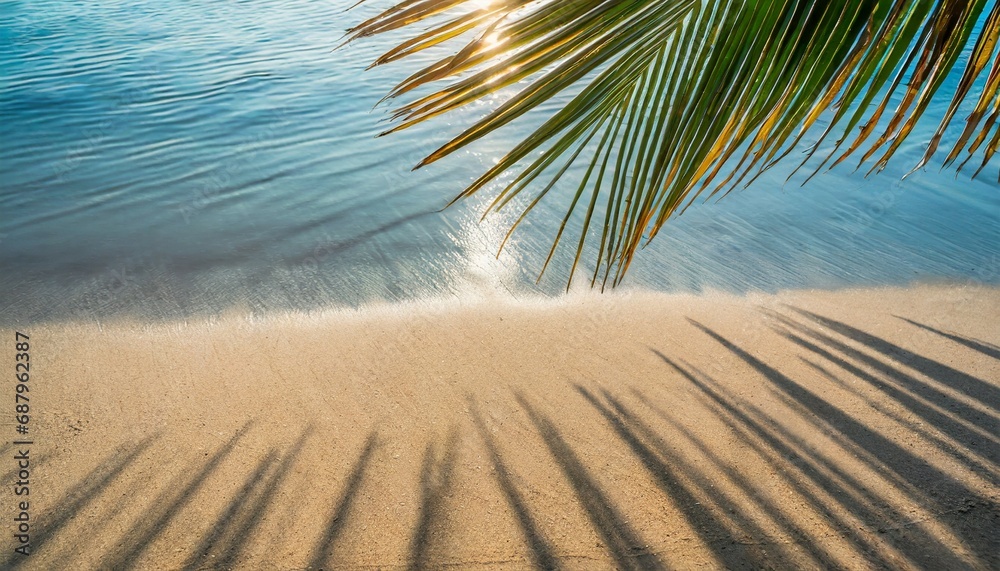 selective focus of summer and holiday backgrounds concepts with shadow of coconut leaf on clean sand beach
