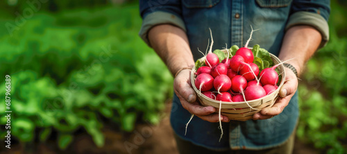 A person surrounded by nature, holding a bunch of green radishes, highlighting the vegetarian goodness and outdoor freshness of the crop.