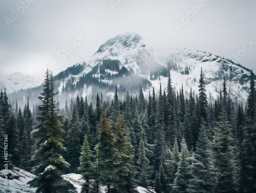 Pine trees on snow covered mountain Magical winter forest. Natural landscape with beautiful sky