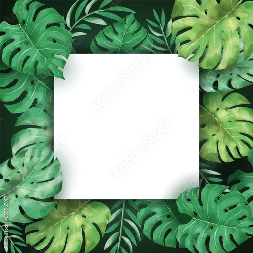 monstera green leaves square frame
