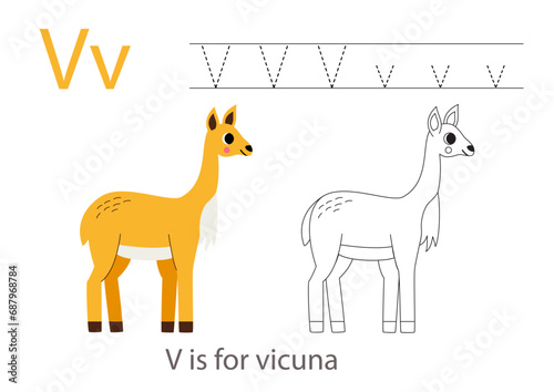 Tracing alphabet letters with cute animals. Color cute vicuna. Trace letter V.
