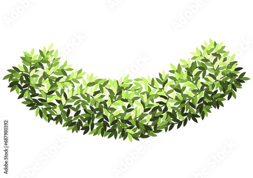 Bush for architectural floor plans. Entourage design. Top view tree for the landscape design plan. Vector illustration.