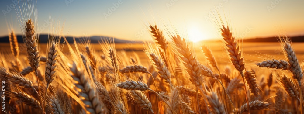 Golden ripe wheat field under shining sunlight. AI Generative - obrazy, fototapety, plakaty 