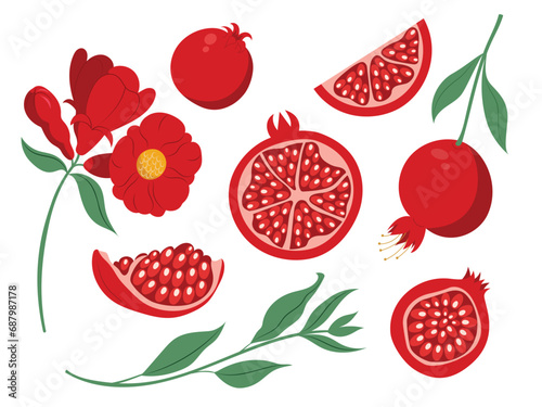 Set with pomegranate fruits, slices, leaves and flower in hand drawn flat design, isolated vector illustrations photo