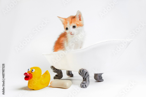 Slika na platnu red and white kitten sits in a toy bathtub next to a bar of soap and a yellow ru