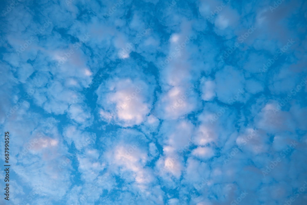 Abstract White, Blue and Purple Alto Cumulus Clouds in the Sky at Dusk