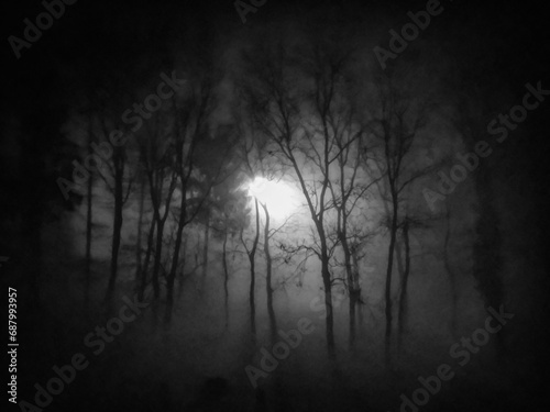 Mist in a woodland night scene