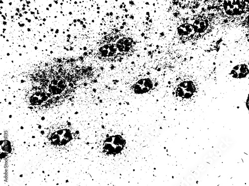 Dog paw prints on wet snow, vector grunge texture. Using the effect of distress, weathering, chips, scuffs, dust, dirt, large and small grains. For backgrounds in vintage style, overlay, stencil
