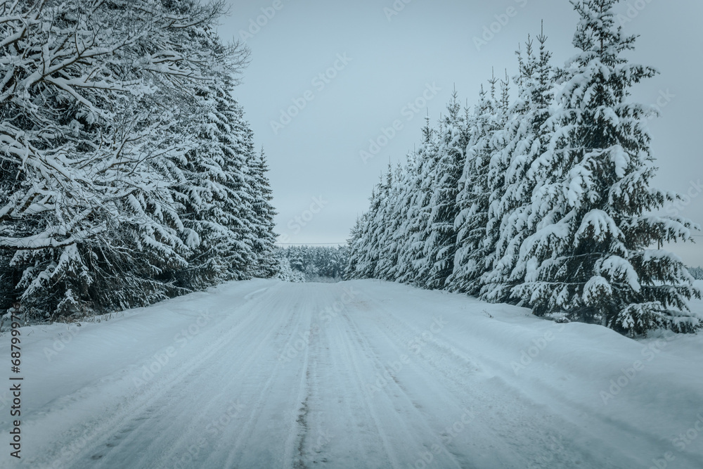 Obraz premium A Wintry Path Through a Chilly Forest with Snow Covered Trees. Winter road through snowy forest, tree lined and cold temperature.