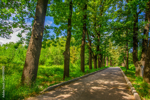 Park Alley. A serene path shrouded in the crowns of majestic trees invites you to wander and immerse yourself in the tranquility of nature. Nature Escapes, Road Less Traveled
