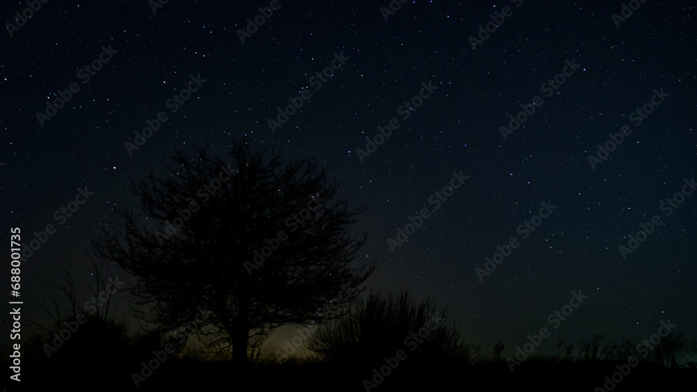 Fototapeta premium Stars in the night sky