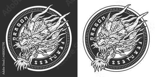 Head fearless dragon flyer monochrome